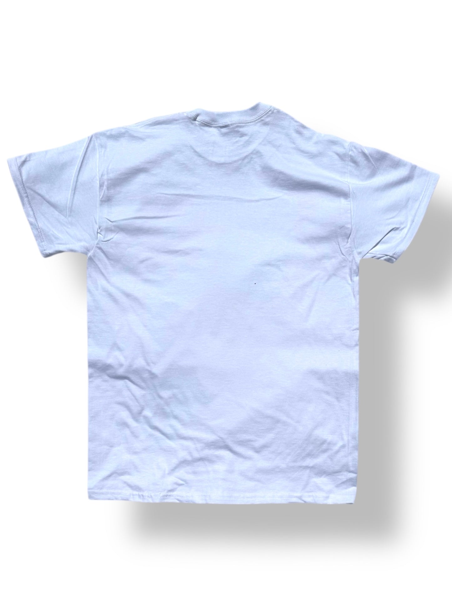 Fountain of Youth Tees